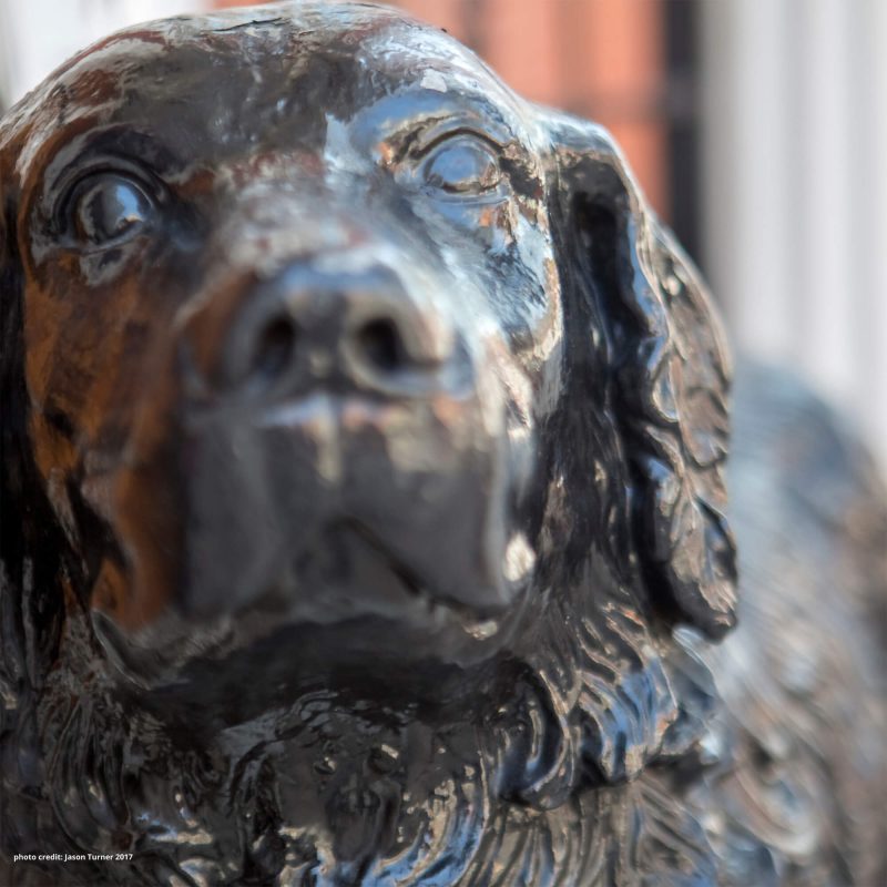 Charity, Board Figurehead and Mascot